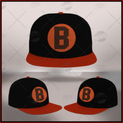 Negro League Baseball Baltimore Black Sox 1929 Retro Vintage Hat Ballcap Snapback For Fans
